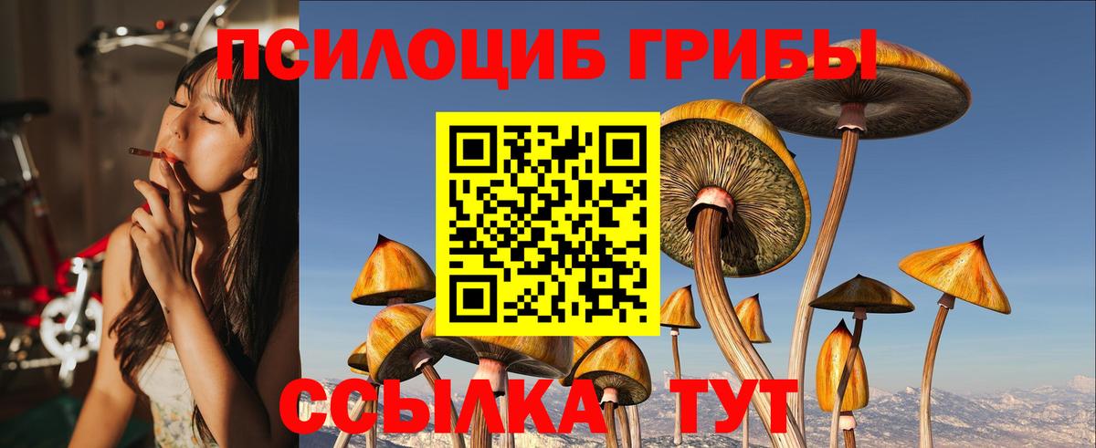 Галлюциногенные грибы GOLDEN TEACHER Бугуруслан